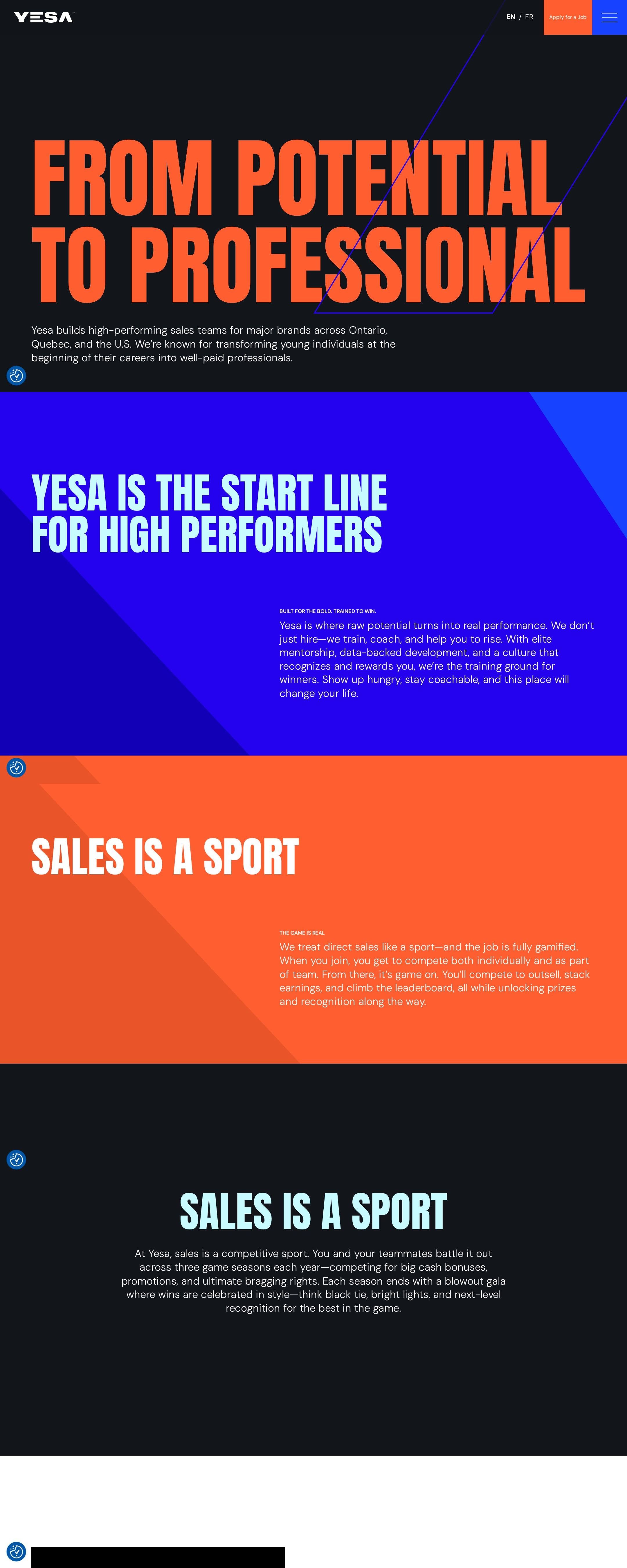 Screenshot of the YESA website